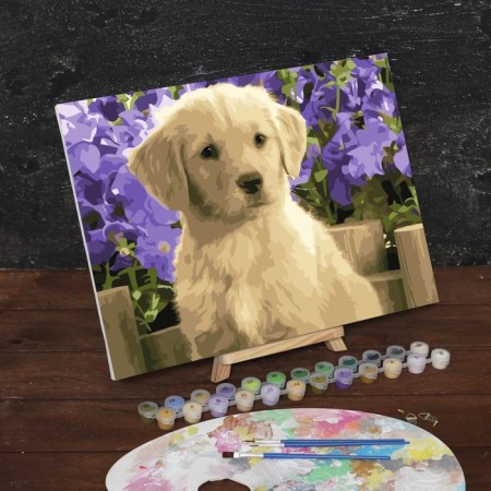 Picture on numbers on canvas with a subframe of Labrador Puppy, 40x30 cm-2