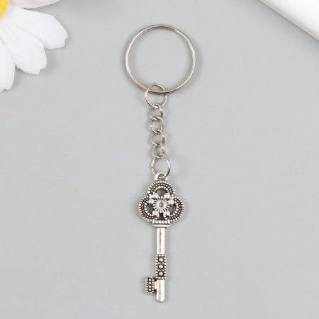 Metal keychain "Key with rhinestones" silver 1.5x1.6x4.2 cm-2