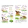 Speech development: a collection of developing tasks. Nazarova S.I.