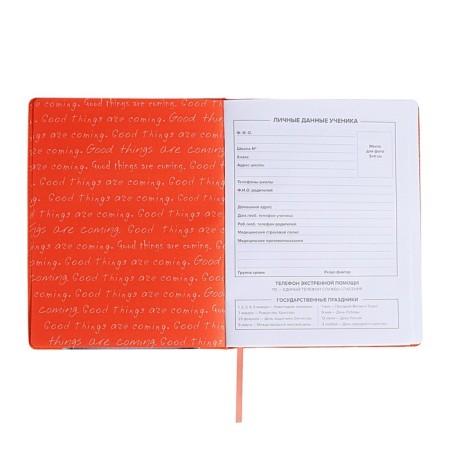 School diary for grades 1-11, "cat", firm covering with foam, artificial leather, lacing, liesse, universal cheat sheet, 48 sheets, block 80g/m2-4