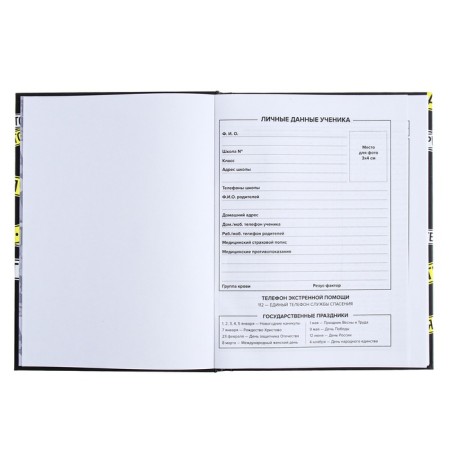 Universal diary for grades 1-11, 48 sheets "Private Territory", hard cover, matte lamination-3
