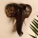 Souvenir tree "Elephant Head" 21x8x30 cm
