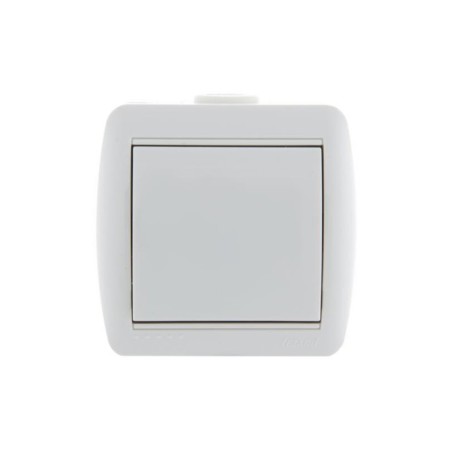 Switch Lezard 710-0200-100 Nata, OP, 10A, 1 key, white color