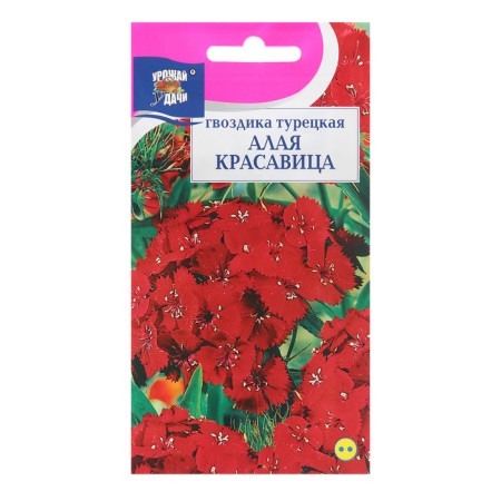 Flowers of cloves Turkish "Scarlet Beauty", 0.2 g