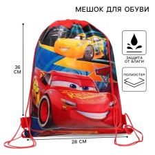 Shoe bag 28*36cm, cars