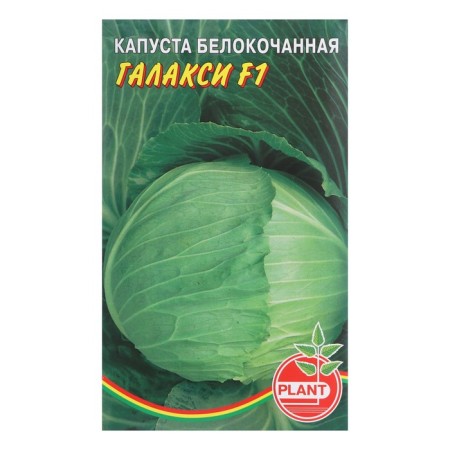 White cabbage seeds "Galaxi", 0.07 g