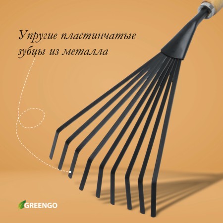 Robble small, fan, plate, 9 teeth, length 42 cm, metal, wooden handle with foam rubber, Greengo-2