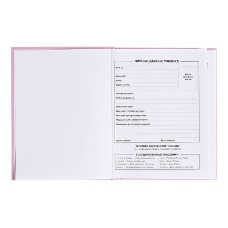 School diary for grades 1-11, "pink", covered paper cover, solid binding cardboard 7BC, matte lamination, universal cheat sheet, 48 sheets, block 65g/m2-3
