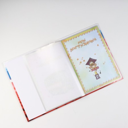 Портфолио школьника "Лесенка" 14 листов, А4-4