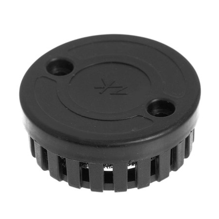 Air filter for a two -stroke engine
