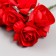 Flowers for decorating "Scarlet roses" 1 bouquet = 6 colors 9 cm