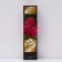Hydrangea blizzard luxury "Red is very early college, since June", 1 pc, tube, spring 2025