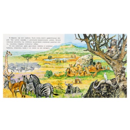 We know the world around us "The Adventures of the Lioness"-1