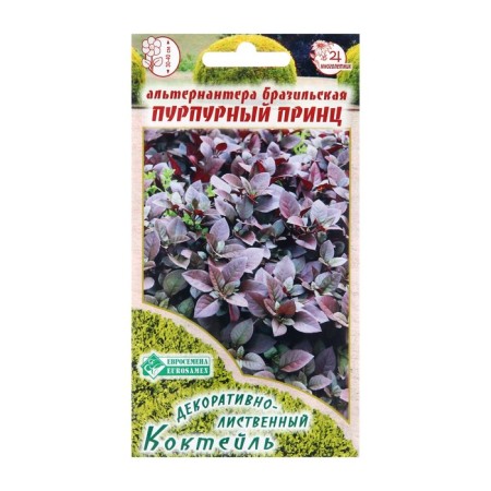 Alternanter Flowers Brazilian "Purple Prince", 3 pcs