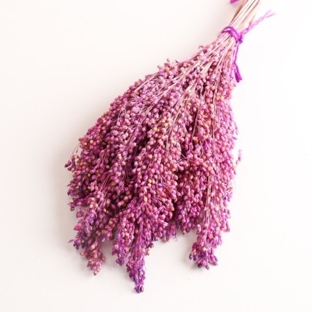 Set of dried flowers "millet", banch length 45 (+/- 6 cm), lilac-2