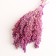 Set of dried flowers "millet", banch length 45 (+/- 6 cm), lilac