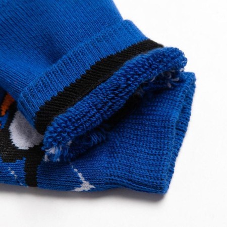 Noski children's terry, blue color, size 18-2