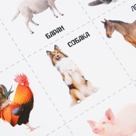 A set of training posters "Study the world", 10 in 1, A4-13