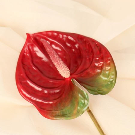 Artificial flowers "Anturium" 60 cm, red-1