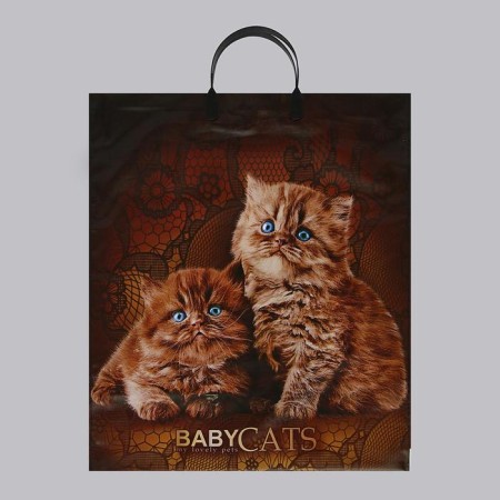 Babikats package, polyethylene with a plastic pen, 40 x 44, 100 μm