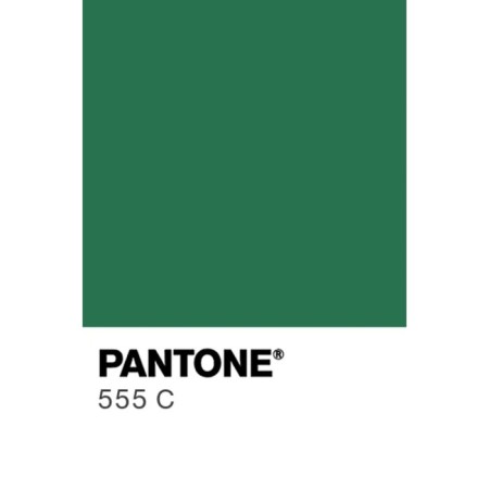 Acrylic matte paint in the tube 75ml Calligrata, km011 Green grass, Panton 555s-2