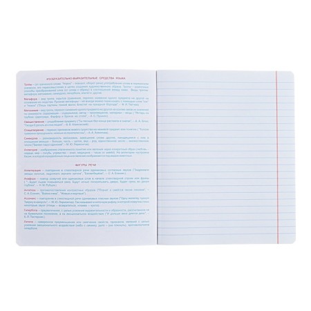 A notebook “Hints”, 48 sheets in a ruler, “Literature”, coated cardboard, matte lamination, Touch varnish, OFSET block-3