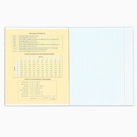 A notebook 48 sheets, A5 on the paper clip Block No. 1 “September 1: Anime Comics. Algebra”-2