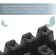Cassette for seedlings, 10 cells of 100 ml, set of 5 pcs., Black
