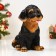 Garden figure "Rotweiler Puppy" 28cm