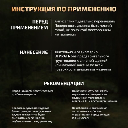 Antiseptic Iceeptic in natural linseed oil VDPF-1601 Milan nut 3 l-5