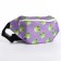 School backpack children for a girl "Frogs", waist bag, purple color