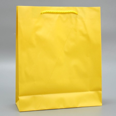 Gift package laminated, packaging, "yellow", ml 21 x 25 x 8 cm-4