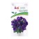 Eustoma seeds "Miss Betty", F1, dwarf, blue, 5 pcs