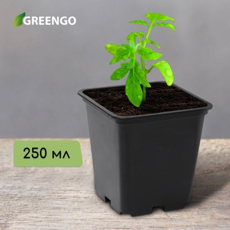 Pot for seedlings, 250 ml, d = 7 cm, h = 8 cm, black