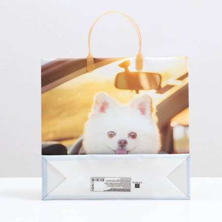 Pack "White Spitz", soft plastic, 30 x 30 cm, 100 μm-1