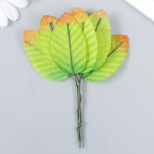 Decor for creativity 