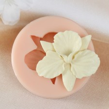 Mold Silicon 