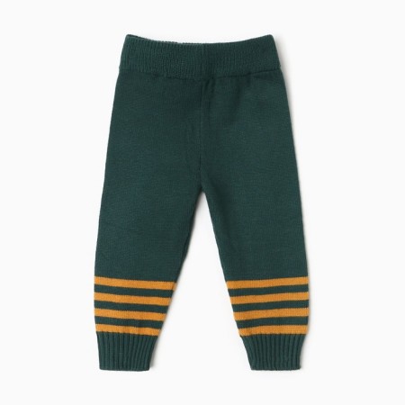 Knitted children's kit (jumper, trousers), green color, height 74-6