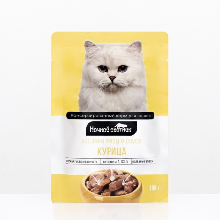 Wet food "Night Hunter" for cats, chicken in sauce, spider, 100 g