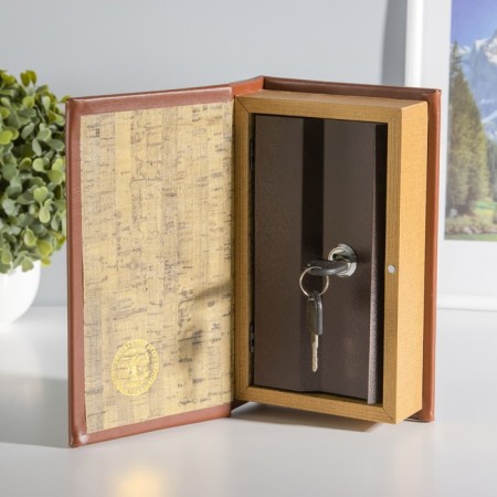 Safe-book wood leather golden eyelid 21x13x5 cm-1
