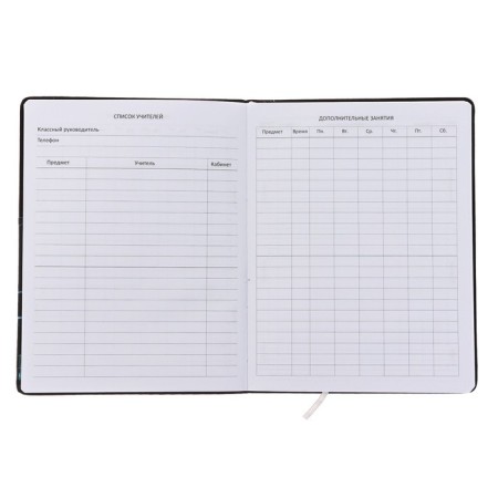 Universal LEADER 1-11 diary, firm covering with foam rubber, artificial leather, silkography, lies, block 80 g/m2-3