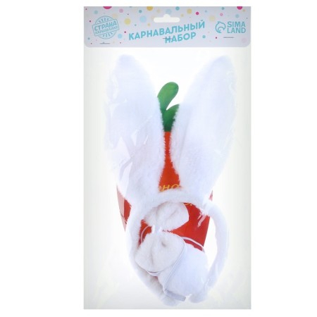 Carnival set "Cool bunny" (rim-ear, tail+ butterfly+ carrot)-3