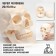 Model "Human Skull" 20*15*18cm