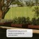 Galing beds, 200 × 100 × 15 cm, brown, Greengo