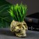 Kashpo - organizer "Skull Flower" aged gold, 11x7x7cm