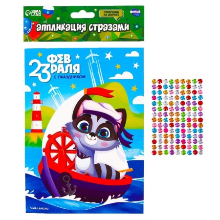 Application with rhinestones "Raccoon" 14.8x21 cm-1