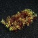 Plant rug for aquarium, 23 x 12 x 5 cm, brown-yellow