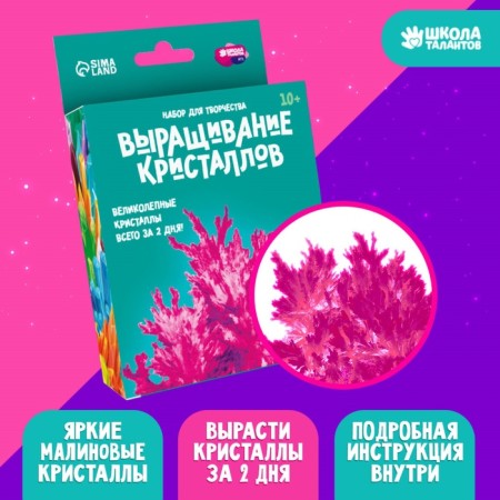 Set for creativity "radiant crystals", color raspberry-1