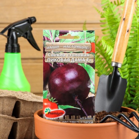 Seeds of beets dining peak lady F1, 1gr
