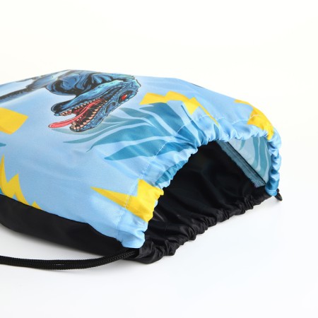 Back for shoes on the lace, the color is blue-2